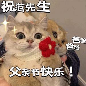 父亲节表情包：祝郑先生父亲节快乐！