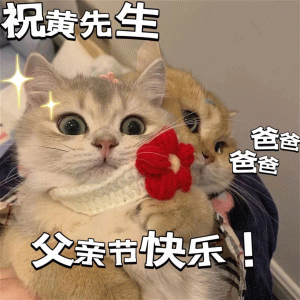 父亲节表情包：祝郑先生父亲节快乐！