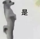 小狗喊到表情包
