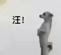 小狗喊到表情包