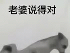 小狗喊到表情包