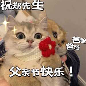 父亲节表情包：祝郑先生父亲节快乐！