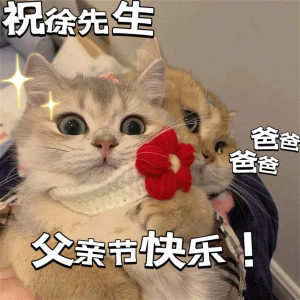 父亲节表情包：祝郑先生父亲节快乐！