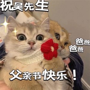 父亲节表情包：祝郑先生父亲节快乐！